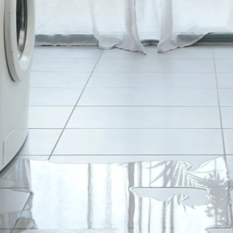 Appliance Leak Cleanup in Williamsburg, FL