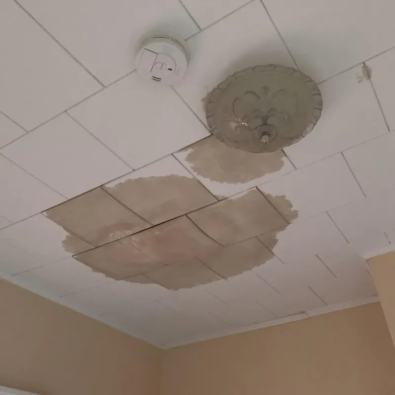 Ceiling Water Damage Repair in Williamsburg, FL