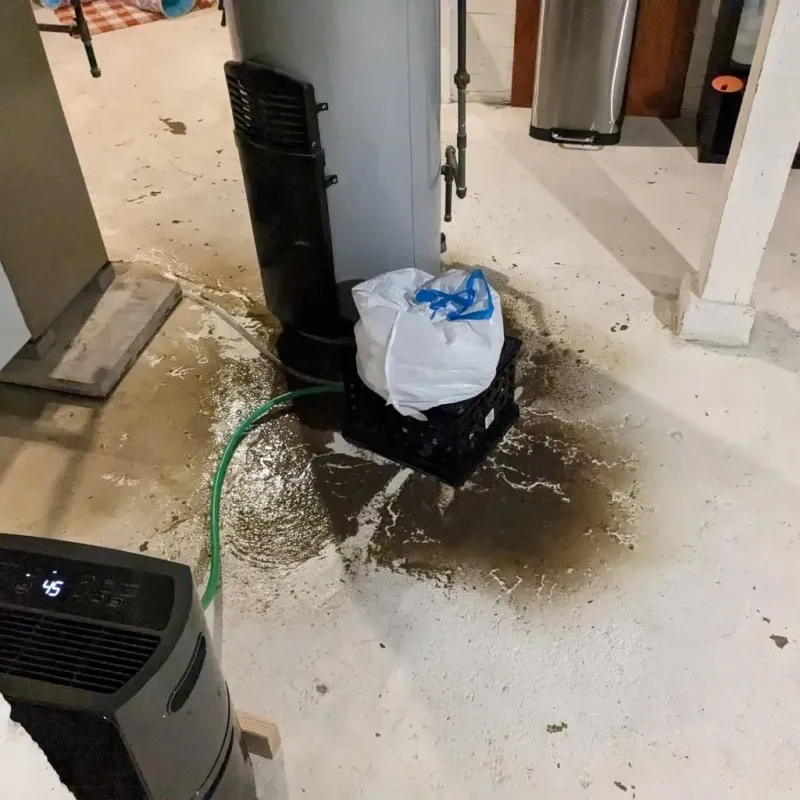 Sewage Backup Cleanup Service in Williamsburg, FL